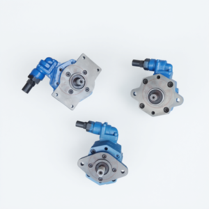 Bomba de engranajes cicloide BB-B tipo Y de hierro fundido con montaje cuadrado de diamante para lubricación de reductores de máquinas herramienta - Product Image 1