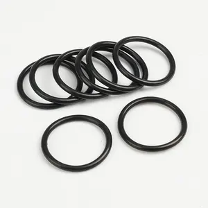 Extend O Ring Performance O Ring Sealed PTFE Glyd Ring