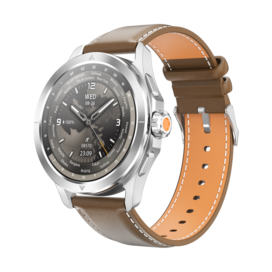 Sliver+Brown Leather