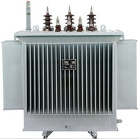 100 KVA Üç Fazlı Üç Sargılı Tamamen Bakır Yağlı Trafo S11-M-100 KVA Model Saf Bakır