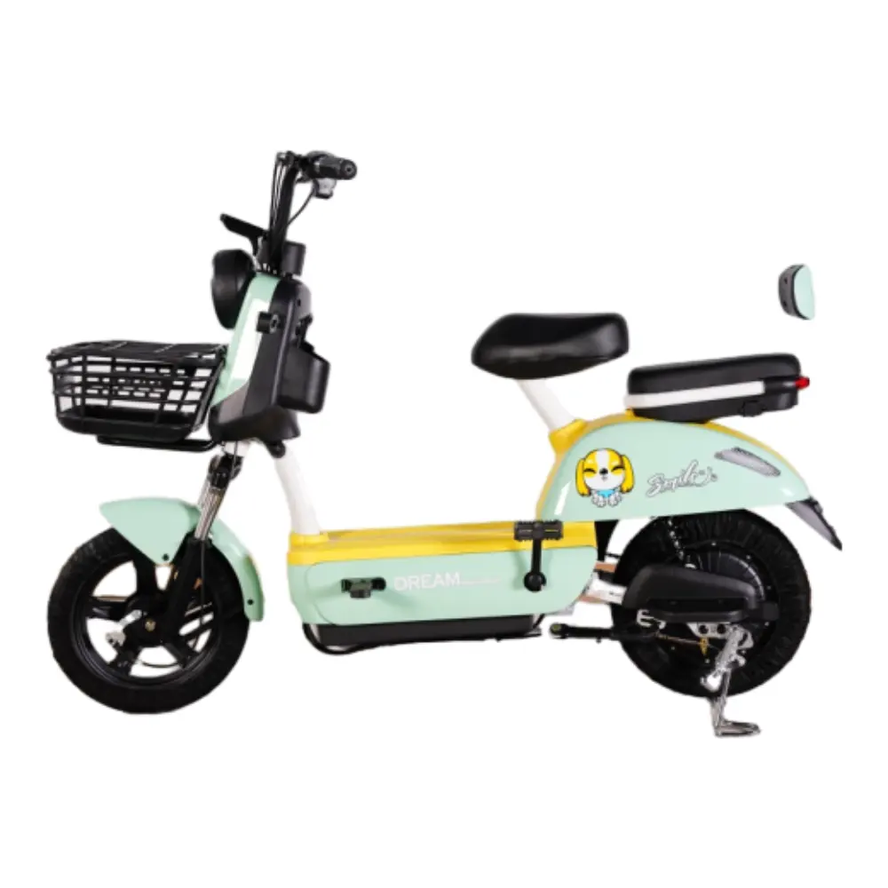 Individuelles chinesisches E-Bike 14 Zoll 350 W Hochgeschwindigkeits-E-Bike 350 W 48 V 12 Ah 20 Ah Traumfarbenes E-Bike mit 2 Sitzen