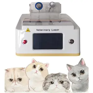 Dispositif laser portable vétérinaire pour le soulagement de la douleur Laser à diode 980nm Équipement vétérinaire médical pour animaux de compagnie pour animaux