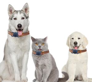 Phổ Fit smarttag2 GPS Tracker Dog Collar chủ thoải mái Silicone cao su Mèo Cổ Áo Android hệ thống hoạt động trường hợp - Product Image 4