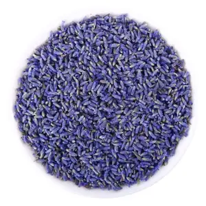 Wholesale Fresh Dried Lavender Flower Tea 100% Natural for sales