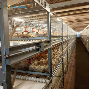 Jaula de batería para pollos de engorde de 3 niveles de <span class=keywords><strong>alambre</strong></span> de acero galvanizado personalizada para granjas avícolas - Product Image 1