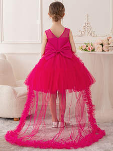 <span class=keywords><strong>La</strong></span> robe de <span class=keywords><strong>la</strong></span> jeune fille est très élégante. <span class=keywords><strong>Grande</strong></span> robe de <span class=keywords><strong>princesse</strong></span> longue en tulle papillon en filet pour <span class=keywords><strong>la</strong></span> remise des diplômes - Product Image 3