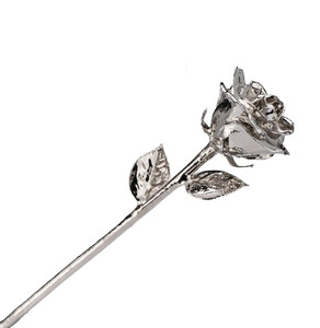 Forever Rose ดอกกุหลาบทองคำขาวแท้,ของแท้หนึ่งในนั้นคือกุหลาบมือหนึ่งจุ่มลงในแพลตตินัมจนใช้งานได้ตลอดชีพ - Product Image 3