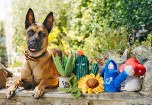 Hondenspeelgoed Plantenpatroon Tanden Poetsen Kies Kauw Tpr Canvas Taaie Hond Knuffel Cactus Hond Kauwspeelgoed