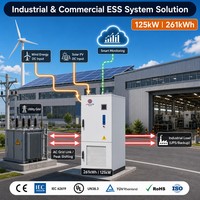 Batterie lithium haute tension à refroidissement liquide BESS 832V 166.4V 314Ah 261kWh 100kW 125kW avec armoire d'onduleur hybride et stockage CE
