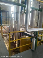 Machine d'extraction d'huile automatique en acier inoxydable haute performance, nouvelle, pour l'extraction d'huile de sésame, de noix de coco, d'olive, de palme, de soja et de noix.