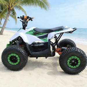 Kart <span class=keywords><strong>électrique</strong></span> tout-terrain 48V 500W 20AH pour plage, montagne et route, vitesse maximale de 60 km/h, capacité de charge de 200 kg - Product Image 3