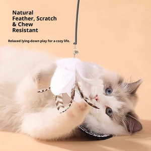 Creativo Ping Pong Self-Hi Elástico Pet Cat Suministros Alambre de acero Varilla larga Pluma Teaser Venta al por mayor Gato Movimiento interactivo Juguetes - Product Image 3