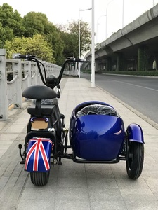 Atracciones Turísticas Convenientes para que las Personas Mayores Viajen a Su Ritmo, Motocicletas para Adultos, Sidecars, Mini <span class=keywords><strong>Coches</strong></span>, Bicicletas Eléctricas - Product Image 4