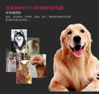 Yükseltildi köpek bakım Clippers köpek saç düzeltici akülü düşük gürültü şarj edilebilir elektrikli sessiz Pet saç makasları Set