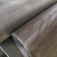 Kain Jaring Anyaman Baja Tahan Karat Diameter 0.05MM 200 Mesh 304 316 Baja Tahan Karat Anyaman Pencegah Tikus Tupai dan Mencit