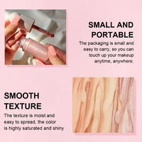 Maquillage Cosmétique Vegan Sans Cruauté Animale Effet Lumineux Marque Privée Non Collant Longue Tenue Illuminateur Liquide Scintillant pour Joues et Visage
