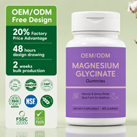Gummies de Magnésium Glycinate Herbal Premium pour Adultes, 60 unités, Riches en Protéines, Soutien Immunitaire, Pour le Sommeil, OEM/ODM Marque Privée, Durée de Conservation 24 Mois