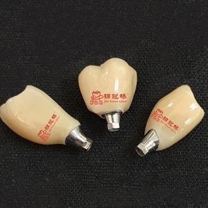 Prothèses dentaires d'<span class=keywords><strong>implant</strong></span> adaptées au système d'implantation traditionnel en <span class=keywords><strong>zircone</strong></span> ou couronne Pfm à des <span class=keywords><strong>prix</strong></span> abordables - Product Image 5