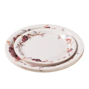 Vente en gros de vaisselle écologique ensemble de vaisselle jetable dégradable ensemble d'assiettes en papier de fête