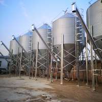 Silo in Acciaio BST da 30 Tonnellate per Allevamenti Avicoli, Stoccaggio Cereali, Sistema di Alimentazione Chicchi di Caffè, Spessore 1,2 mm, 1 Anno di Garanzia, Personalizzabile Digitalmente