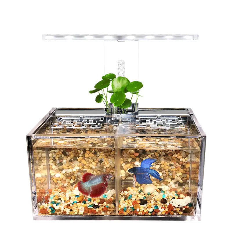 Creatieve Betta Aquarium Met Led Licht Acryl Mini Kleine Vis Tank Desktop Tank Aquarium Met Pomp Filter