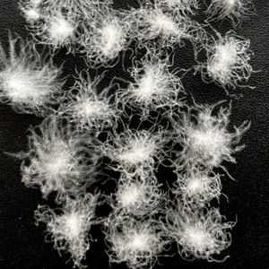 Plumes <span class=keywords><strong>de</strong></span> <span class=keywords><strong>canard</strong></span> blanches pures et collantes, lavables en machine, à bas <span class=keywords><strong>prix</strong></span> - Product Image 2