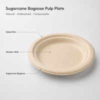 Assiettes jetables écologiques blanches naturelles biodégradables rondes épaissies en papier compostable 100 % pulpe de bagasse 9 pouces