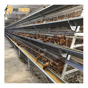 For Ghana A Type Automatic Egg Poultry Farms Battery Layer Chicken Cages Animal & Poultry Husbandry Equipment