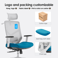Chaise de bureau exécutive moderne à dossier haut, support lombaire 2D, chaise de bureau ergonomique en maille, Sillas De Oficina