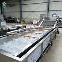 Knoflookwortel- en modderverwijderingsmachine Knoflook hogedruk-belreinigingsmachine
