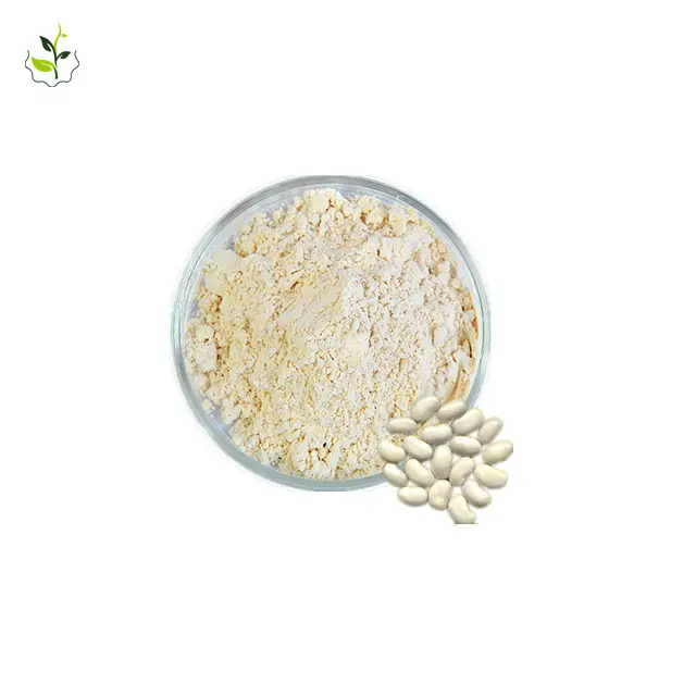 Fornitura springjia miglior enzima alfa amilasi/estratto di fagiolo bianco in polvere/estratto di fagiolo bianco campione gratuito