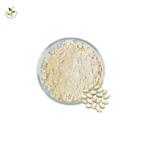 Springjia最高のアルファアミラー酵素/白インゲン豆エキスパウダー/白インゲン豆エキス無料サンプルを供給