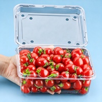 Boîte à fruits jetable de marque Weishen, Guangdong, avec couvercle transparent, en plastique PET de qualité alimentaire, modèle 500G, option de logo personnalisé