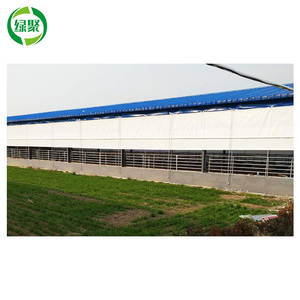 Đa Màu Tùy Chỉnh Pvc Rèm Bọc Vải Tarpaulin Cho Nhà Gia Cầm - Product Image 2