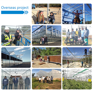 Serra moderna del tunnel del bordo del pc di coltivazione del fungo isolata doppio arco dell'azienda agricola di MYXL - Product Image 4