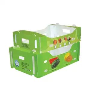 Corrugated Plastic Fruit Box Containers