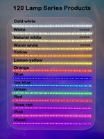 Bande LED PVC 12V certifiée CE, blanc chaud/blanc, ultra-étroite 6mm, 5m/10m/20m par rouleau, 120 LED/m, conforme RoHS
