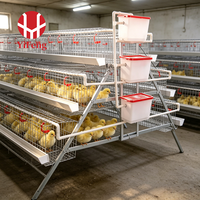 Cage d'élevage de poussins de type A, système de cage d'élevage galvanisée, adapté à l'élevage de poussins, équipement d'élevage de poulets pour ferme, fournisseur