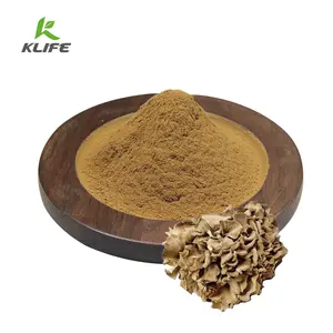 Health Supplement Maitake Mushroom Grifola Frondosa Extract Maitake Extract Powder