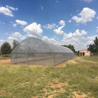 Serre Agricole Dédiée Monochapelle pour Tomates et Fraises en Film Plastique PE