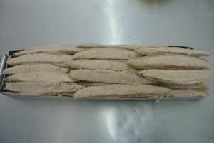 Lomos <span class=keywords><strong>de</strong></span> Atún Skipjack Precocidos <span class=keywords><strong>de</strong></span> 7.5 kg, Mariscos, Atún Tongol, Estilo Enlatado con Conservación <span class=keywords><strong>en</strong></span> <span class=keywords><strong>Aceite</strong></span>, Parte del Cuerpo - Product Image 5