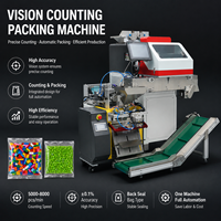 Machine d'emballage à comptage visuel haute précision ±0,1% |   Machine d'emballage automatique à scellage arrière pour billes et blocs en plastique