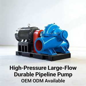 ปั๊มหอยโข่งแบบดูดสองทาง High Head SH แบบแยกส่วนแนวนอน ปั๊มแบบขั้นตอนเดียว สำหรับโรงงาน เหมือง และระบบจ่ายน้ำ - Product Image 6