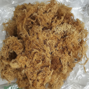 BULK EXPORT <b>DRIED</b> SEAMOSS HIGH QUALITY FROM VIET NAM SUPPLIER WITH COMPETITIVE PRICE - Product Image 1