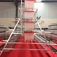 Poulailler de ponte Zhenway 4T5D de type A en fil de fer zinc-aluminium-magnésium, capacité 160 poulets, haute précision, facile à utiliser