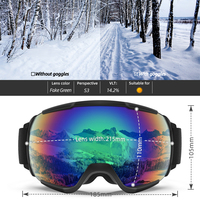 Lunettes de ski Polaroid, snowboard, verres solaires
