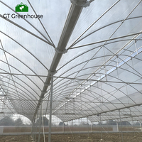 Serres agricoles multi-chapelles à structure métallique GT Arch Green House