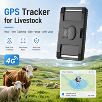Traceur GPS pour bétail 20000mAh, collier anti-vol pour vache, Android 4G Glonass, étanche IP67 pour bovins et ovins