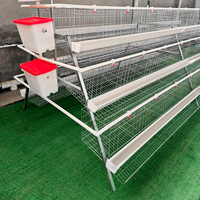 Système automatique de cages en batterie pour 160 poules pondeuses sur 4 niveaux au Botswana