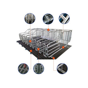 Mejor Precio, Nuevo Corral <span class=keywords><strong>de</strong></span> Gestación para <span class=keywords><strong>Cerdos</strong></span>, Jaulas con Barra <span class=keywords><strong>de</strong></span> Posicionamiento para Cerdas - Product Image 2